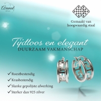Zilverkleurige Stalen Oorringen Grieks Motief -