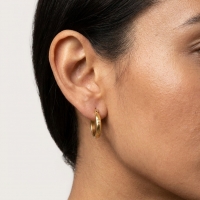 Oorringen &acirc;&euro;&ldquo; 20mm Creool Anker & Ster Motief RVS Goudkleur Dames -