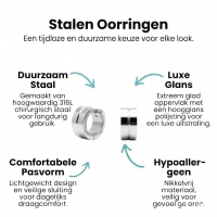 Stalen Oorringetjes Zilverkleur Accent &acirc;&euro;&ldquo; 13x7mm Huggies -
