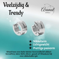 Stalen Oorringetjes Zilverkleur Accent &acirc;&euro;&ldquo; 13x7mm Huggies -
