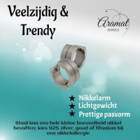Oorringen &acirc;&euro;&ldquo; RVS Zilverkleur Mat met Glansstreep (13mm) -