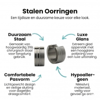 Oorringen &acirc;&euro;&ldquo; RVS Zilverkleur Sandblasted/Glans (13mm) -