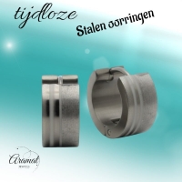 Oorringen &acirc;&euro;&ldquo; RVS Zilverkleur Sandblasted/Glans (13mm) -