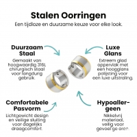 Oorringen &acirc;&euro;&ldquo; Bicolor RVS met Brede Zilverkleurige Streep (13mm) -
