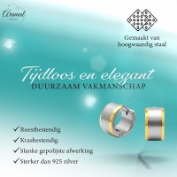 Oorringen &acirc;&euro;&ldquo; Bicolor RVS met Brede Zilverkleurige Streep (13mm) -