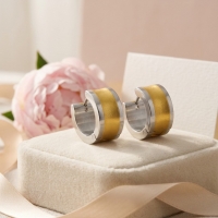 Oorringen &acirc;&euro;&ldquo; Bicolor RVS met Brede Goudkleurige Streep (13mm) -