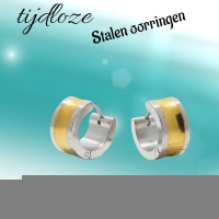 Oorringen &acirc;&euro;&ldquo; Bicolor RVS met Brede Goudkleurige Streep (13mm) -