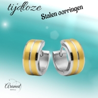 Huggies &acirc;&euro;&ldquo; Bicolor RVS met Goudaccent (14mm) -