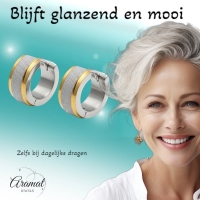 RVS oorringen - Bicolor - Sandblasted -