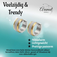 RVS oorringen - Bicolor - Sandblasted -
