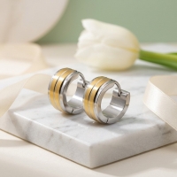 Huggies &acirc;&euro;&ldquo; RVS Bicolor met Dubbele Goudkleurige Streep (13mm) -