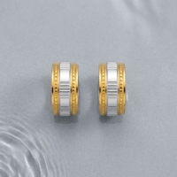 Creolen &acirc;&euro;&ldquo; Bicolor RVS met Dubbele Goudkleurige Streep (13mm) -