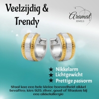 Creolen &acirc;&euro;&ldquo; Bicolor RVS met Dubbele Goudkleurige Streep (13mm) -