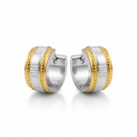 Creolen &acirc;&euro;&ldquo; Bicolor RVS met Dubbele Goudkleurige Streep (13mm) -