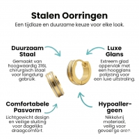 Creolen &acirc;&euro;&ldquo; RVS Bicolor Mat met Goudkleurige Strepen (13mm) -