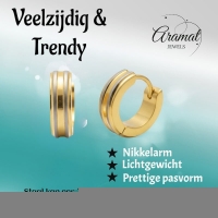 Creolen &acirc;&euro;&ldquo; RVS Bicolor Mat met Goudkleurige Strepen (13mm) -