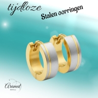 Bicolor RVS Oorringen met Mat Zilver en Goudkleurige Streep 13mm -