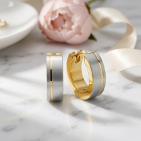 Bicolor RVS Oorringen met Mat Zilver en Goudkleurige Streep 13mm -