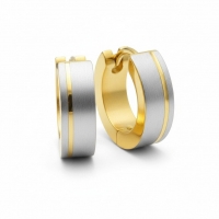 Bicolor RVS Oorringen met Mat Zilver en Goudkleurige Streep 13mm -