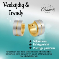 Oorringen &acirc;&euro;&ldquo; Mat Bicolor RVS Zilver/Goud (13x7mm) -