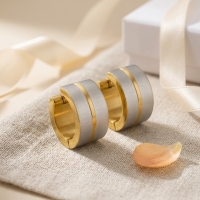Oorringen &acirc;&euro;&ldquo; Mat Bicolor RVS Zilver/Goud (13x7mm) -