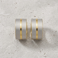 Oorringen &acirc;&euro;&ldquo; Mat Bicolor RVS Zilver/Goud (13x7mm) -