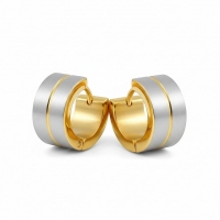 Oorringen &acirc;&euro;&ldquo; Mat Bicolor RVS Zilver/Goud (13x7mm) -