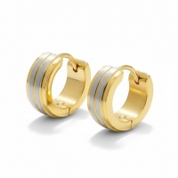 Oorringen &acirc;&euro;&ldquo; RVS Bicolor Mat Zilver/Goud (13x5mm) -