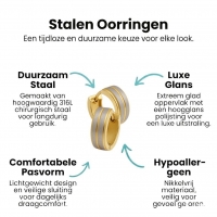 Oorringen &acirc;&euro;&ldquo; RVS Bicolor Mat Zilver/Goud (13x5mm) -