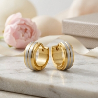 Oorringen &acirc;&euro;&ldquo; RVS Bicolor Mat Zilver/Goud (13x5mm) -