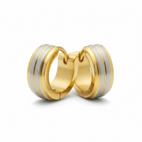 Oorringen &acirc;&euro;&ldquo; RVS Bicolor Mat Zilver/Goud (13x5mm) -