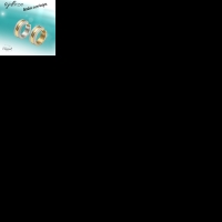 Oorringen &acirc;&euro;&ldquo; Mat Bicolor RVS Zilver/Goud (20x7mm) -