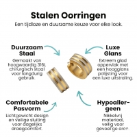 Oorringen &acirc;&euro;&ldquo; Mat Bicolor RVS Drie Strepen Zilver/Goud (13x4mm) -