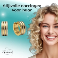 Oorringen &acirc;&euro;&ldquo; Mat Bicolor RVS Drie Strepen Zilver/Goud (13x4mm) -