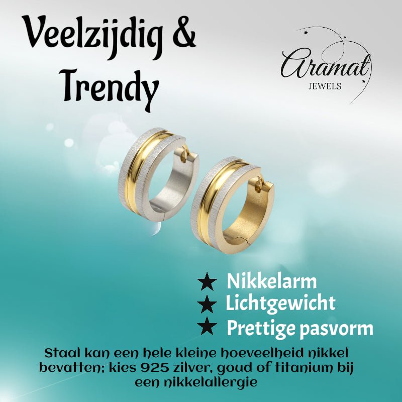 Oorringen &acirc;&euro;&ldquo; Mat Bicolor RVS Zilver/Goud Streepjes (20x7mm) -