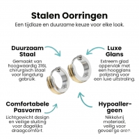 Oorringen &acirc;&euro;&ldquo; Smalle Bicolor RVS Zilver/Goud Streepjes (13x4mm) -
