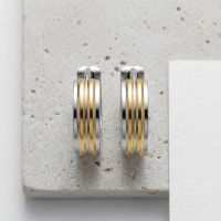 Oorringen &acirc;&euro;&ldquo; Smalle Bicolor RVS Zilver/Goud Streepjes (13x4mm) -