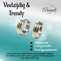 Oorringen &acirc;&euro;&ldquo; Smalle Bicolor RVS Zilver/Goud Streepjes (13x4mm) -