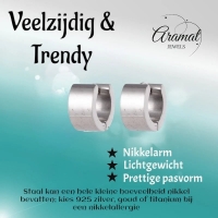 Brede Zilverkleurige Rvs huggies - 13mm -