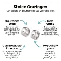 Zilverkleurige Stalen Oorringen - Met Zirkonia Steentje -