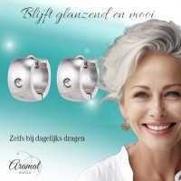 Zilverkleurige Stalen Oorringen - Met Zirkonia Steentje -