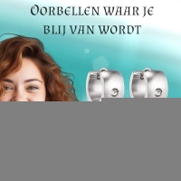Zilverkleurige Stalen Oorringen - Met Zirkonia Steentje -