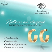 Trendy Goudkleurige Stalen hoepel Oorbellen -