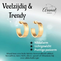 Trendy Goudkleurige Stalen hoepel Oorbellen -