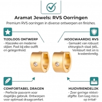 Goudkleurige Stalen Oorringen met Zirkonia -