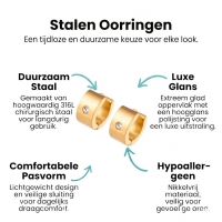 Goudkleurige Stalen Oorringen met Zirkonia -