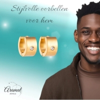 Goudkleurige Stalen Oorringen met Zirkonia -