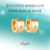 Goudkleurige Stalen Oorringen met Zirkonia -