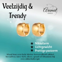 Goudkleurige Stalen Gladde Oorringen 13x7mm - 13mm -