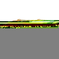 Goudkleurige Stalen Gladde Oorringen 13x7mm - 13mm -